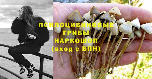 прущий лед Алексин
