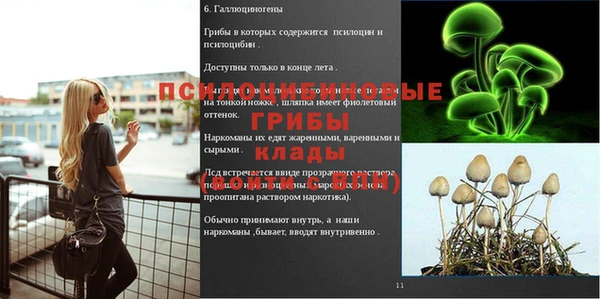 a pvp Абдулино
